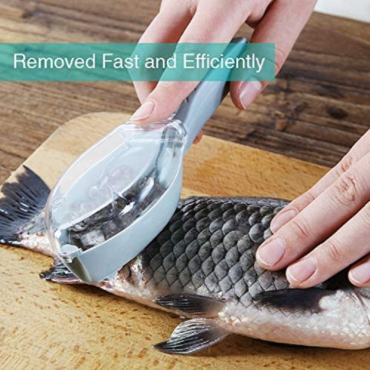  Fast Remove Fish Scale Scraper